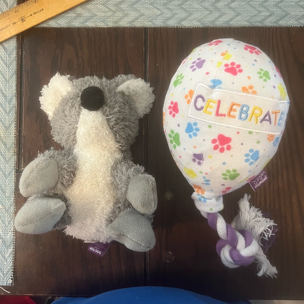 Multipet Dog Plush Toys (2 Toys)- Gray Koala & Celebrate Paw-Print Balloon